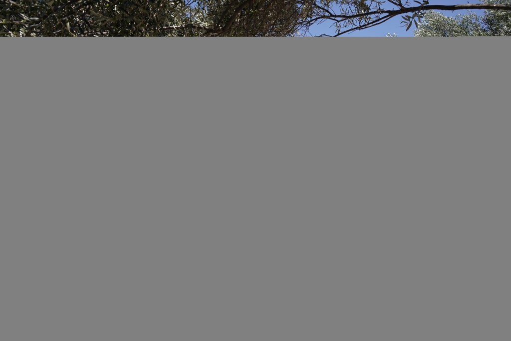 Kiralık Karavan Konaklama